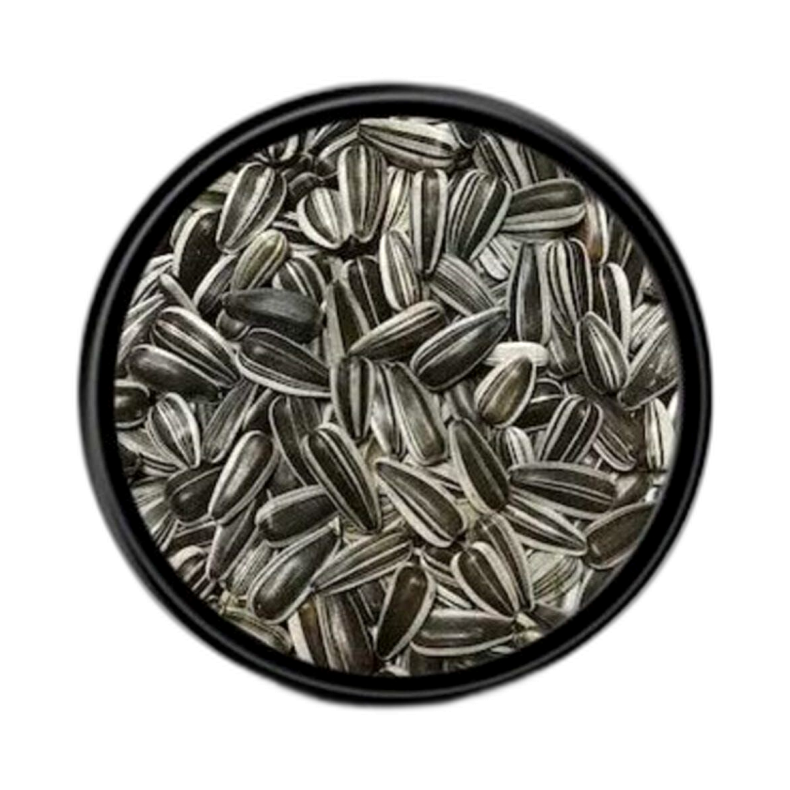 ÇEKİRDEK ÇİZGİLİ KUŞ YEMİ